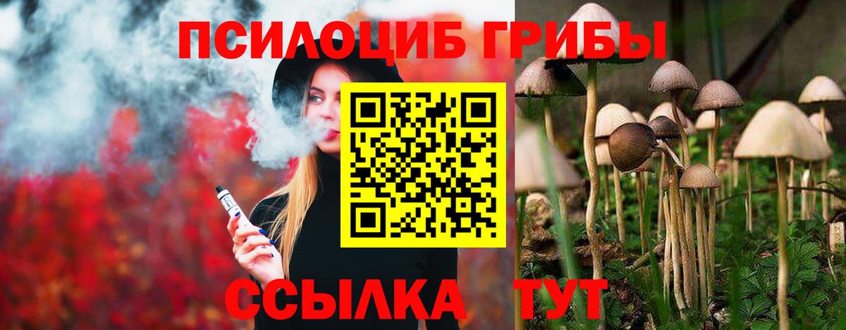 Королёв  Галлюциногенные грибы Psilocybine cubensis  как найти закладки  Псилоцибиновые грибы Psilocybe  Вход с VPN 